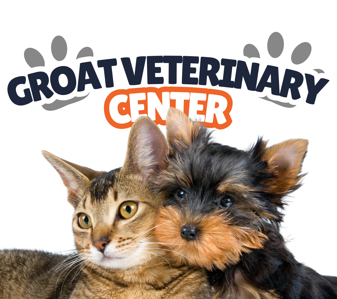 Groat Veterinary Centre Edmonton Pet Hospital