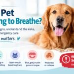 Difficulty Breathing in Pets: Emergency Signs Pet Parents Should Know